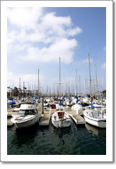 Los Angeles Area Harbor